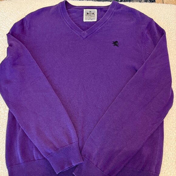 Express Men’s V-Neck Cotton Sweater – Size Large - Picture 1 of 3